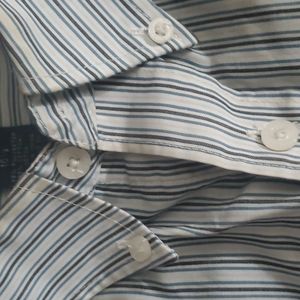Men's Pinstripe button down collar and button up shirt sleeve L shirt